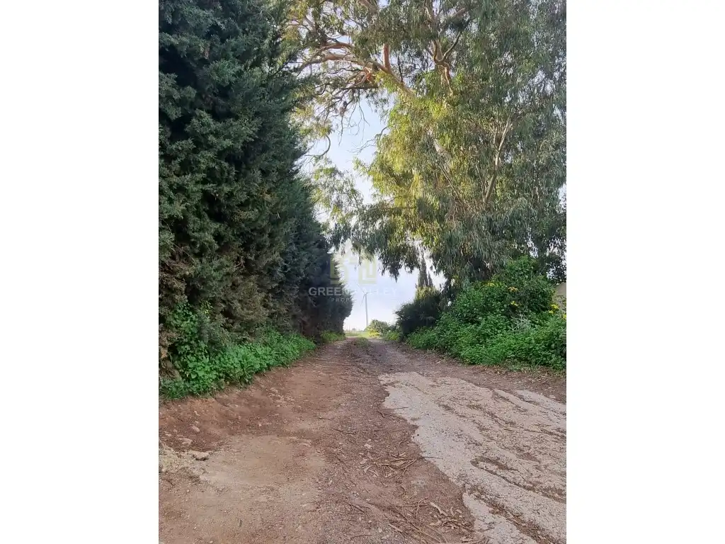Casa o chalet en venta en Casares pueblo