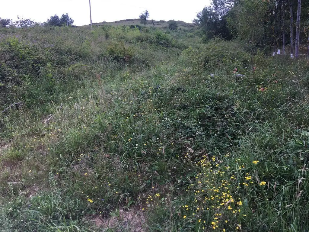 Finca rústica en venda en Mallabia