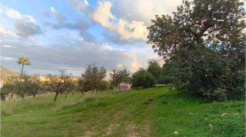 Photo 5 of Country homes for sale in Diseminados Poligono 9, Son Amonda - Reis Catòlics, Inca