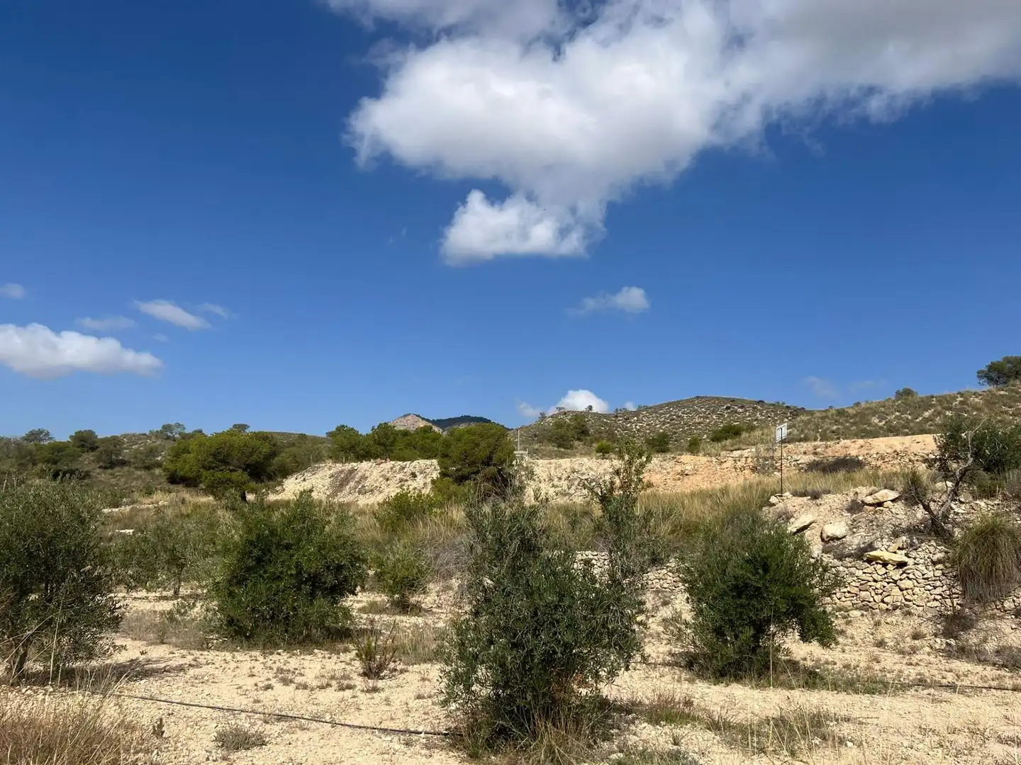 Casa rústica amb jardí en venda a cañada de la leña, imagen 22