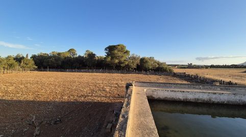 Foto 4 de Finca rústica en venta en Muro, Illes Balears