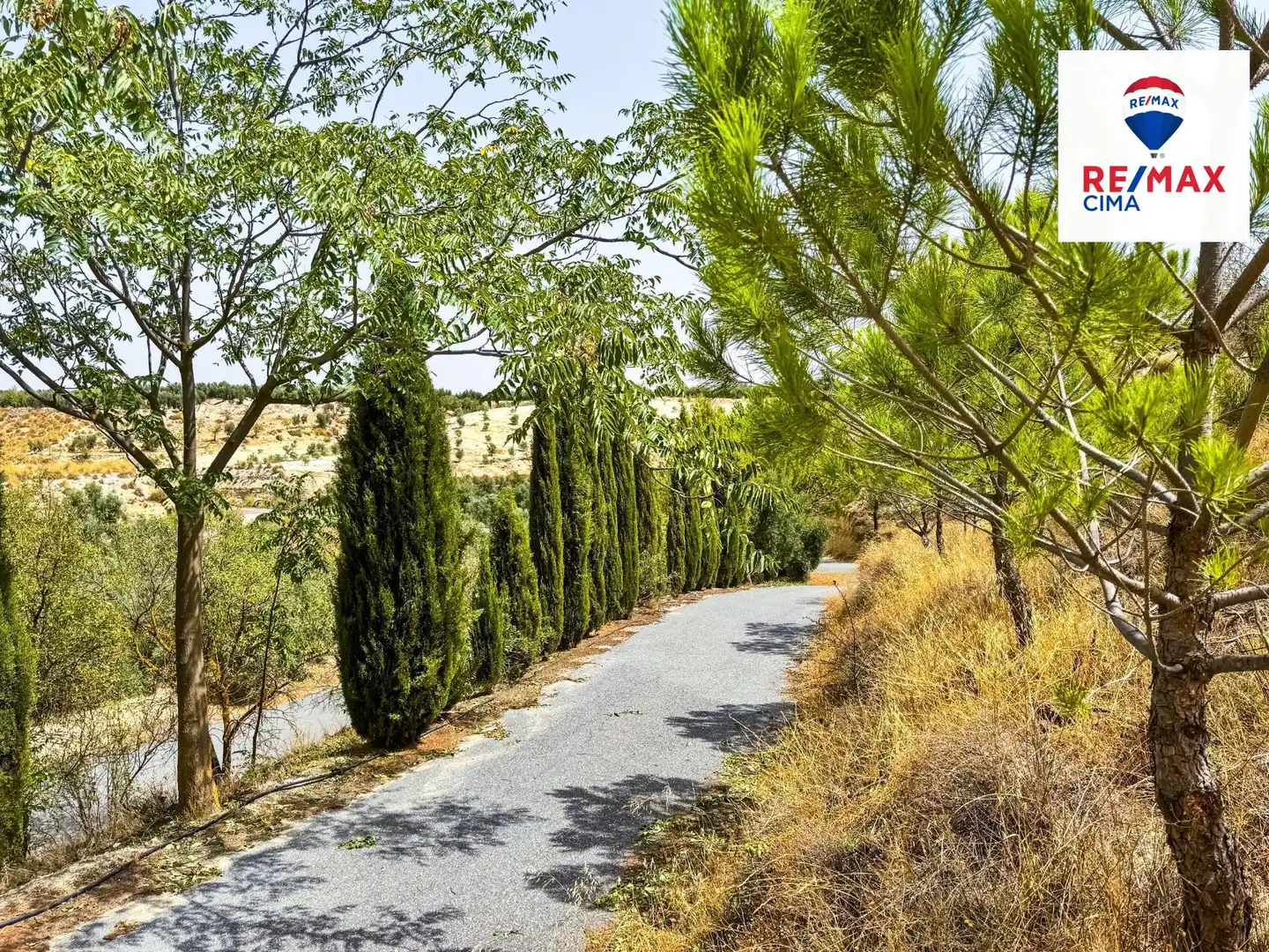 Vista exterior de Casa o chalet en venta en Cuevas del Campo con Terraza y Amueblado