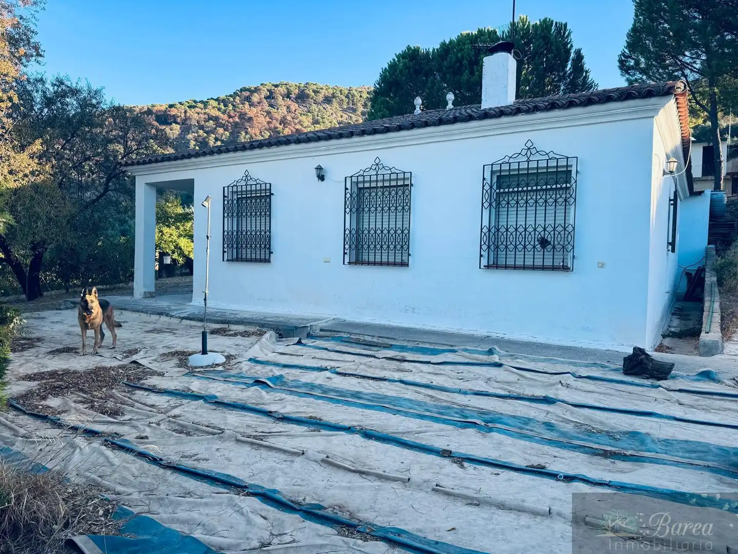 Villa mit Pool zum Verkauf in Rute, imagen 33