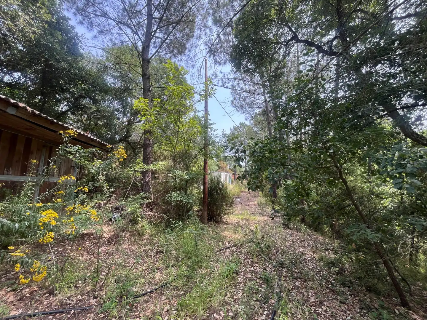 Maison rustique avec jardin à vendre à Niàgara Parc - Àgora Parc, imagen 52