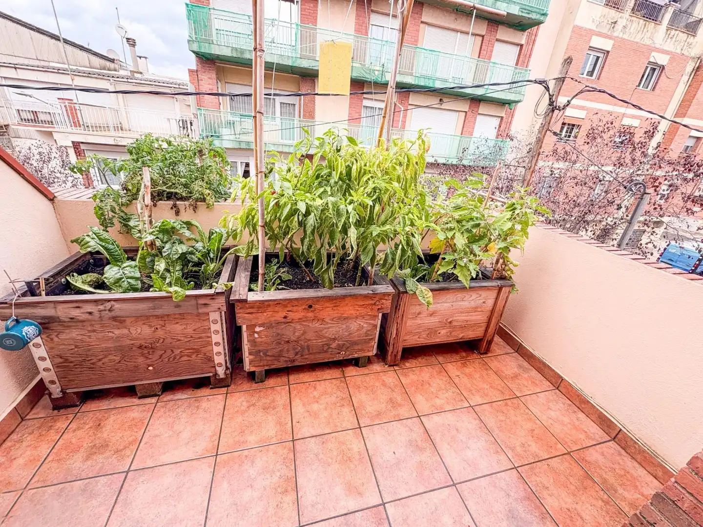 Casa o xalet en venda a Espai Tolra - Els Pedrissos - Can Carner