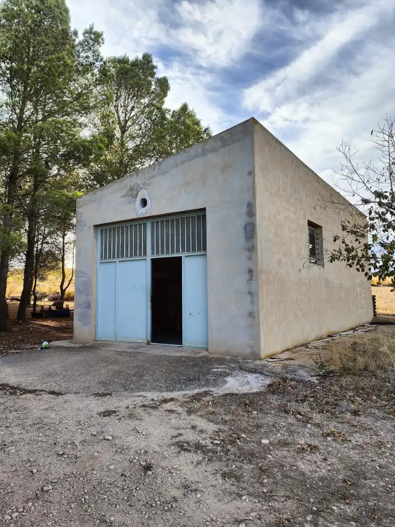 Vista exterior de Casa o xalet en venda en Yecla amb Jardí privat, Terrassa i Piscina