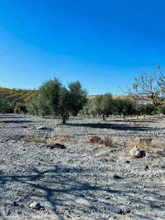 Casa rústica en venda a Puerto Lumbreras, imagen 16