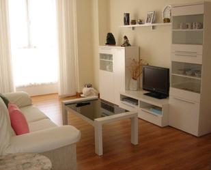 Sala d'estar de Apartament en venda en Baños de Rioja amb Terrassa
