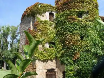 Casa rústica amb jardí en venda a Carrer d'Aro 5, imagen 2