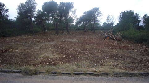 QuerolTerreno, immagine 4