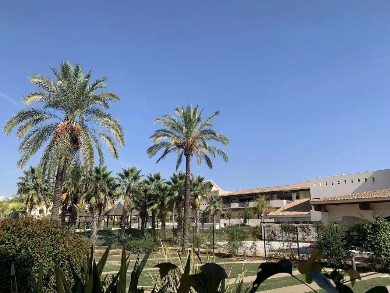 Piso de alquiler en Bulevar Mónaco, Hacienda del Álamo Golf