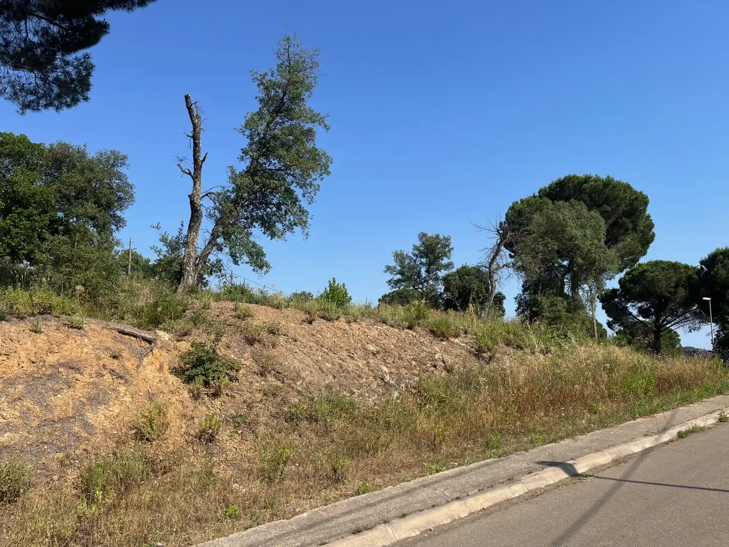 Terrain résidentiel à vendre à Carrer d'Urgell 13, imagen 4