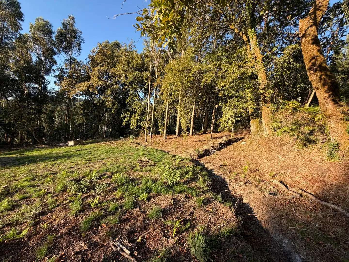 Villa con giardino in vendita a A Cañiza, imagen 12