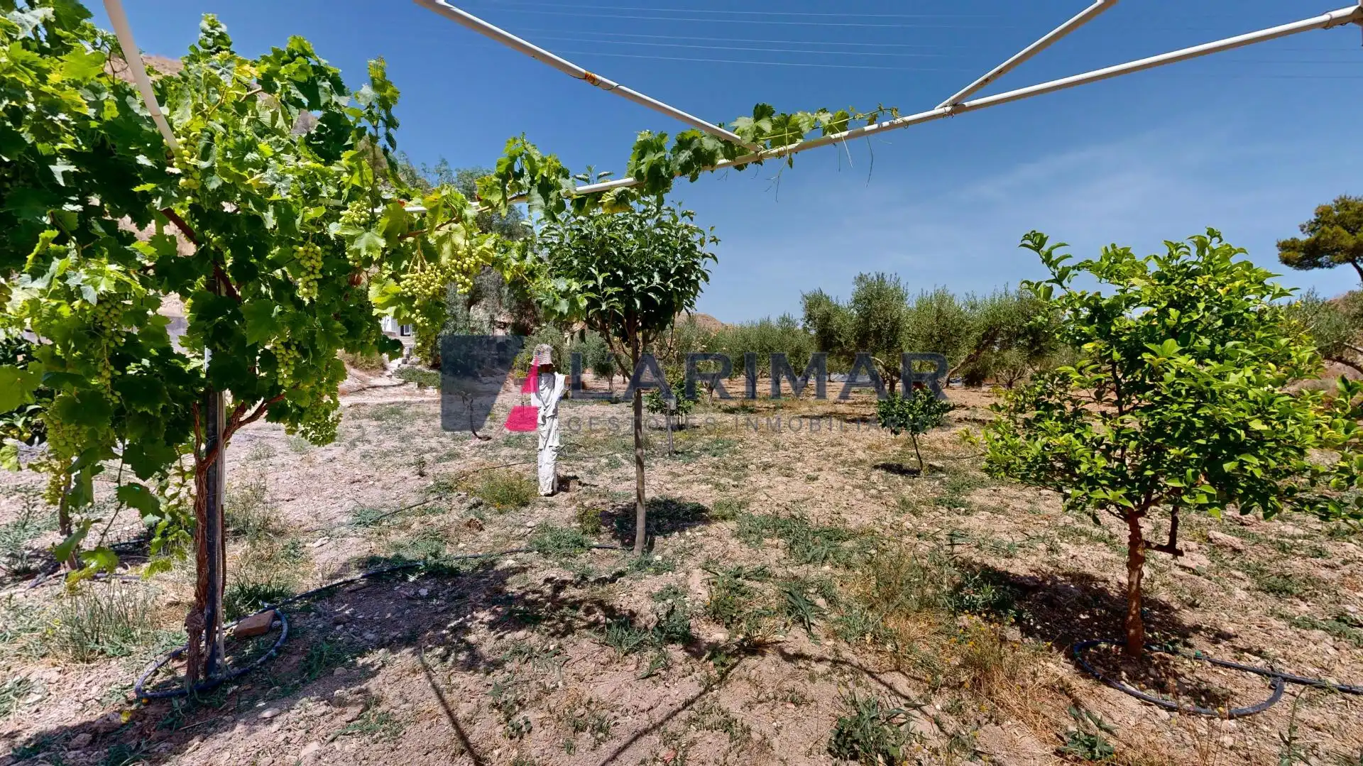 Houses for sale in Aspe  with Air Conditioner, Heating and Private garden