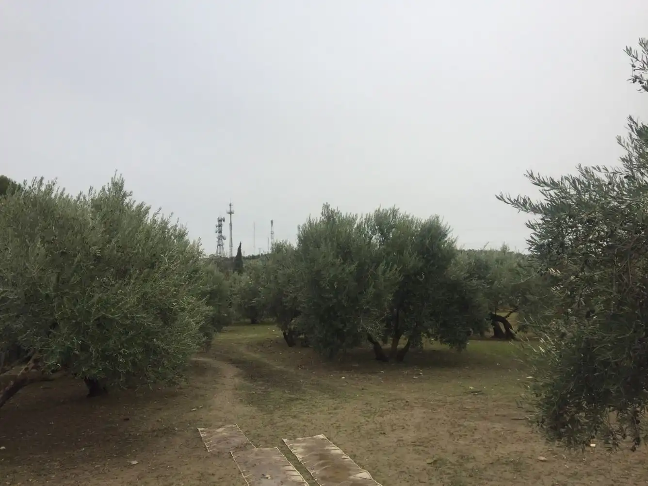 Terrenos y solares en venta en Úbeda, imagen 8