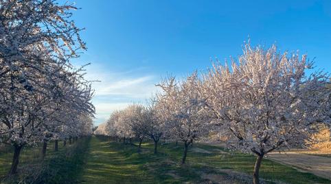 Photo 2 of Land for sale in Calle Villanueva, 40, Orellana la Vieja, Badajoz