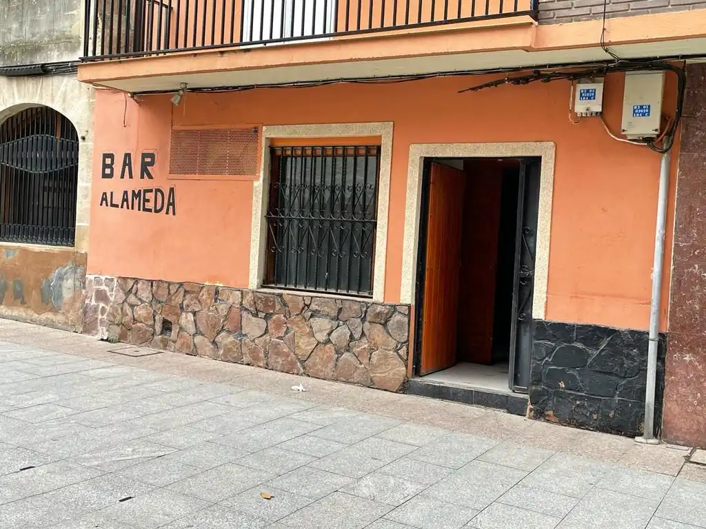 Local comercial en venda a Calle la Alameda 3, imagen 3