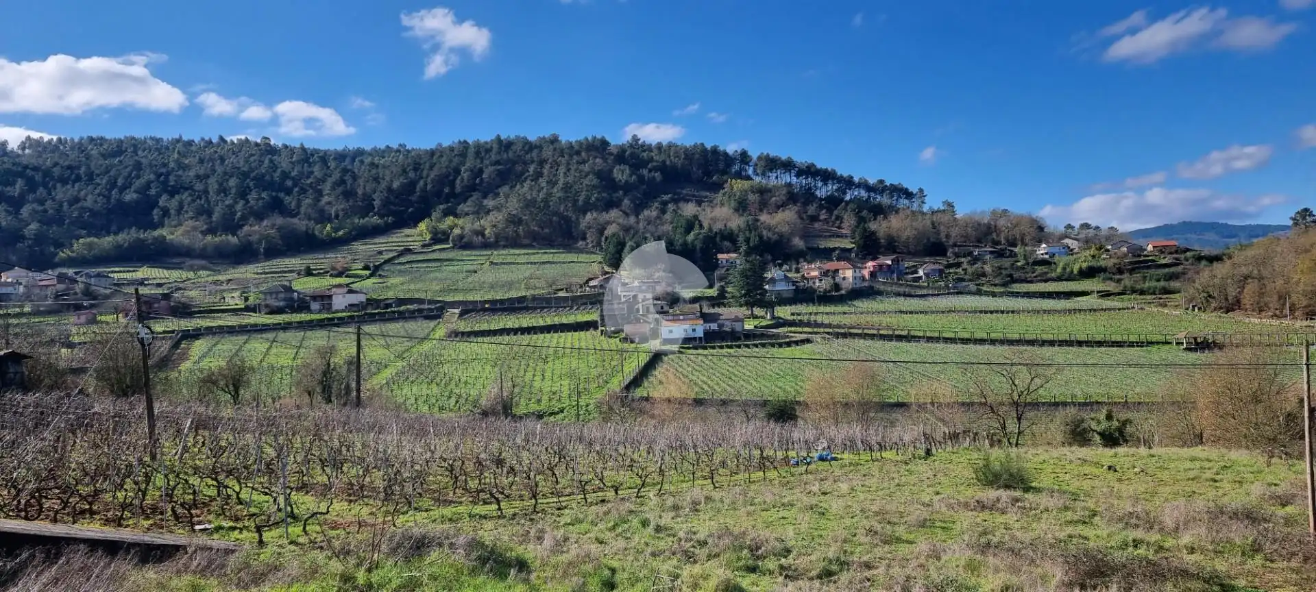 Grundstücke und Bauplätze zum Verkauf in Toén