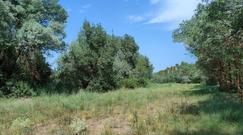 Foto 4 de Finca rústica en venta en La Fresneda, Teruel