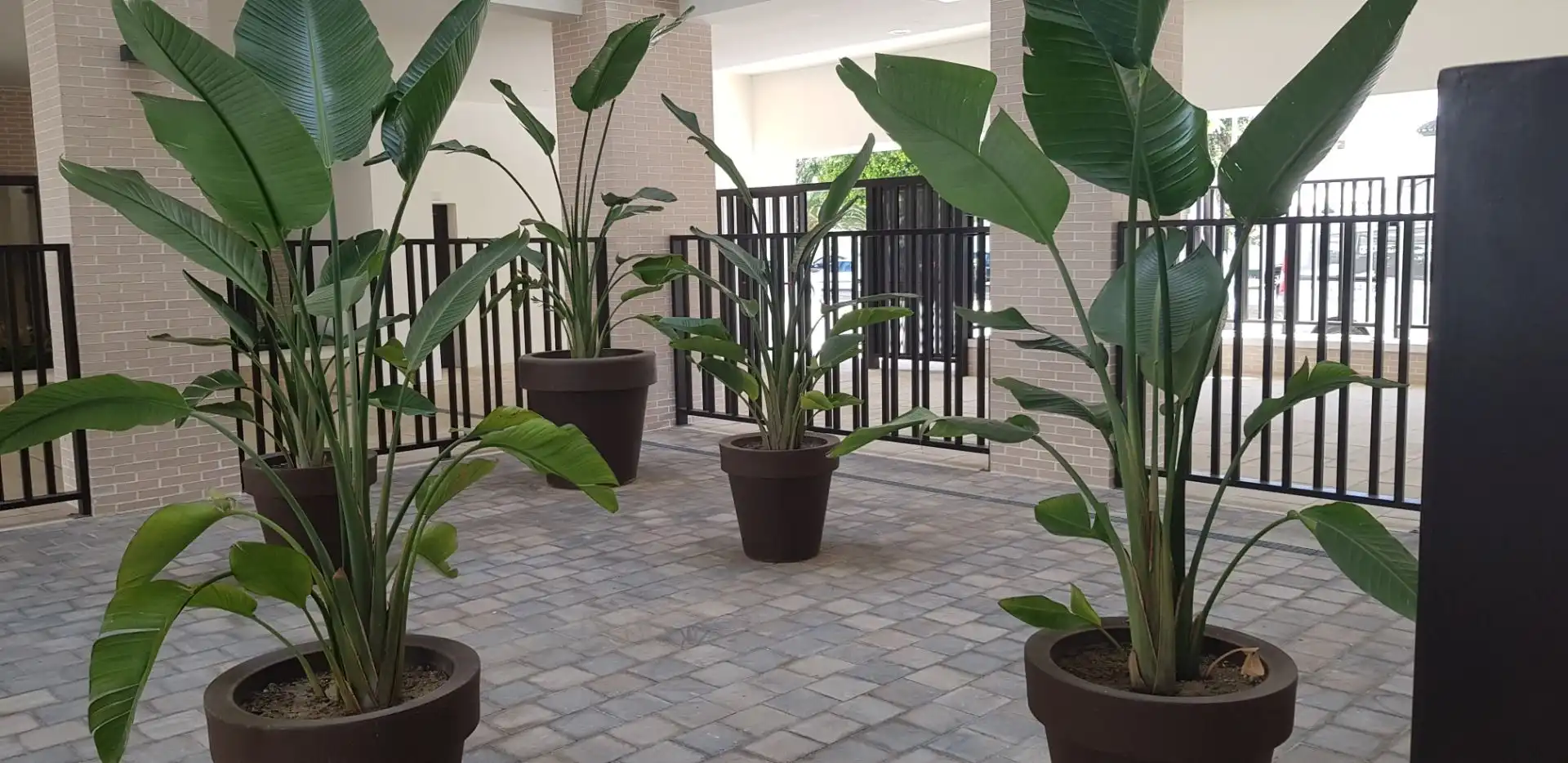 Piso de alquiler en Málaga con Aire acondicionado, Parquet y Terraza