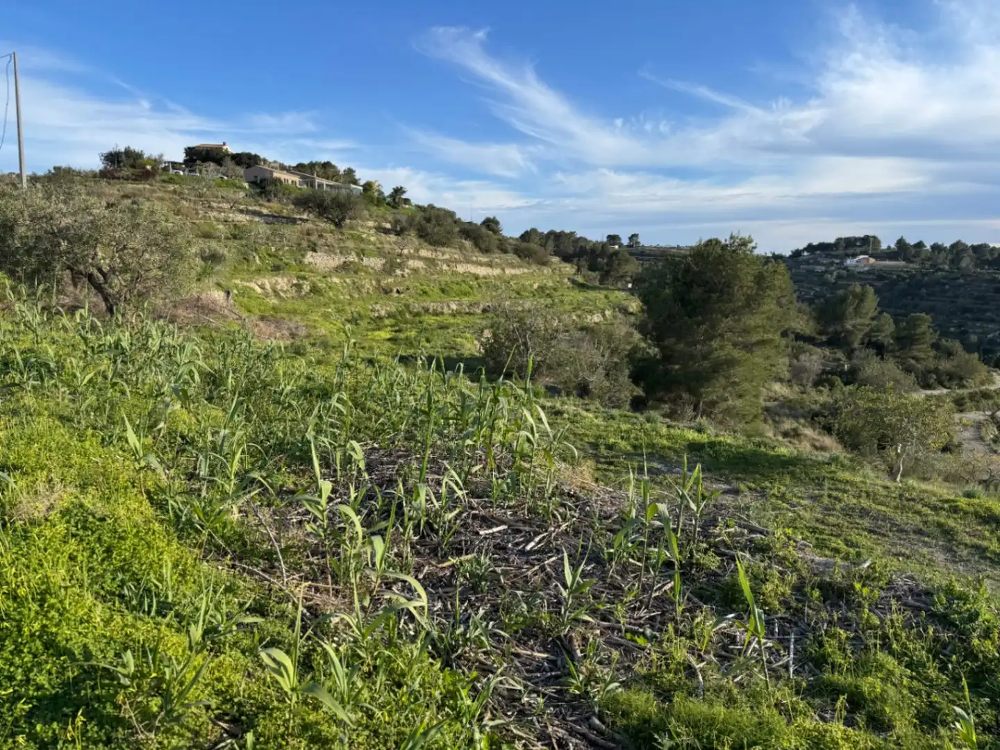 Wohnbaugrundstück zum Verkauf in Benissa pueblo, imagen 22