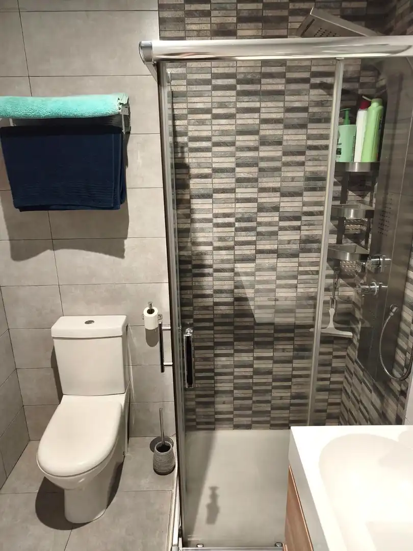 Bathroom of Flat for rent in Centro