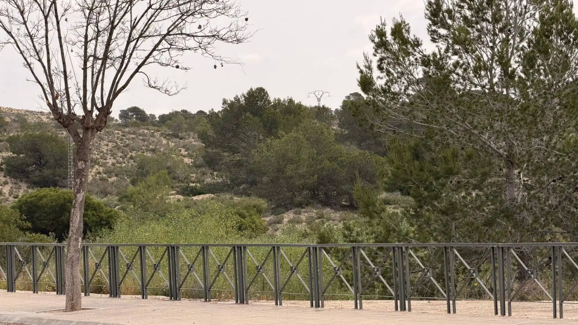 Terreno residencial en venta en Monforte del Cid, imagen 8