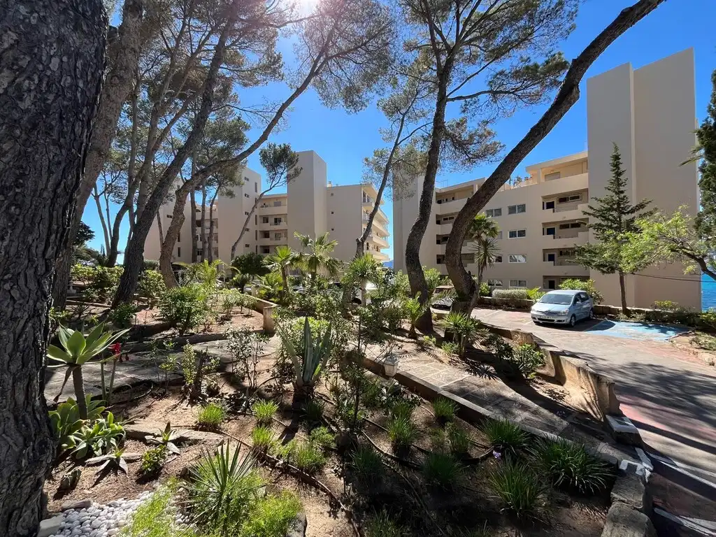 Vista exterior de Apartamento en venta en Calvià con Aire acondicionado, Terraza y Amueblado
