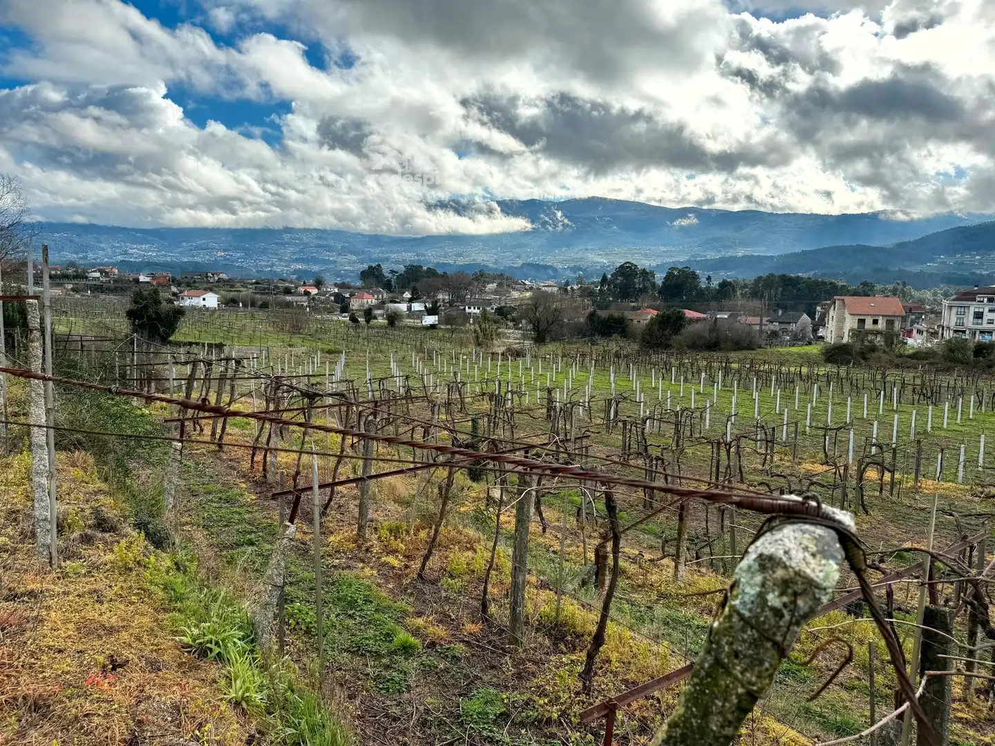Rural land for sale in Arbo, imagen 13