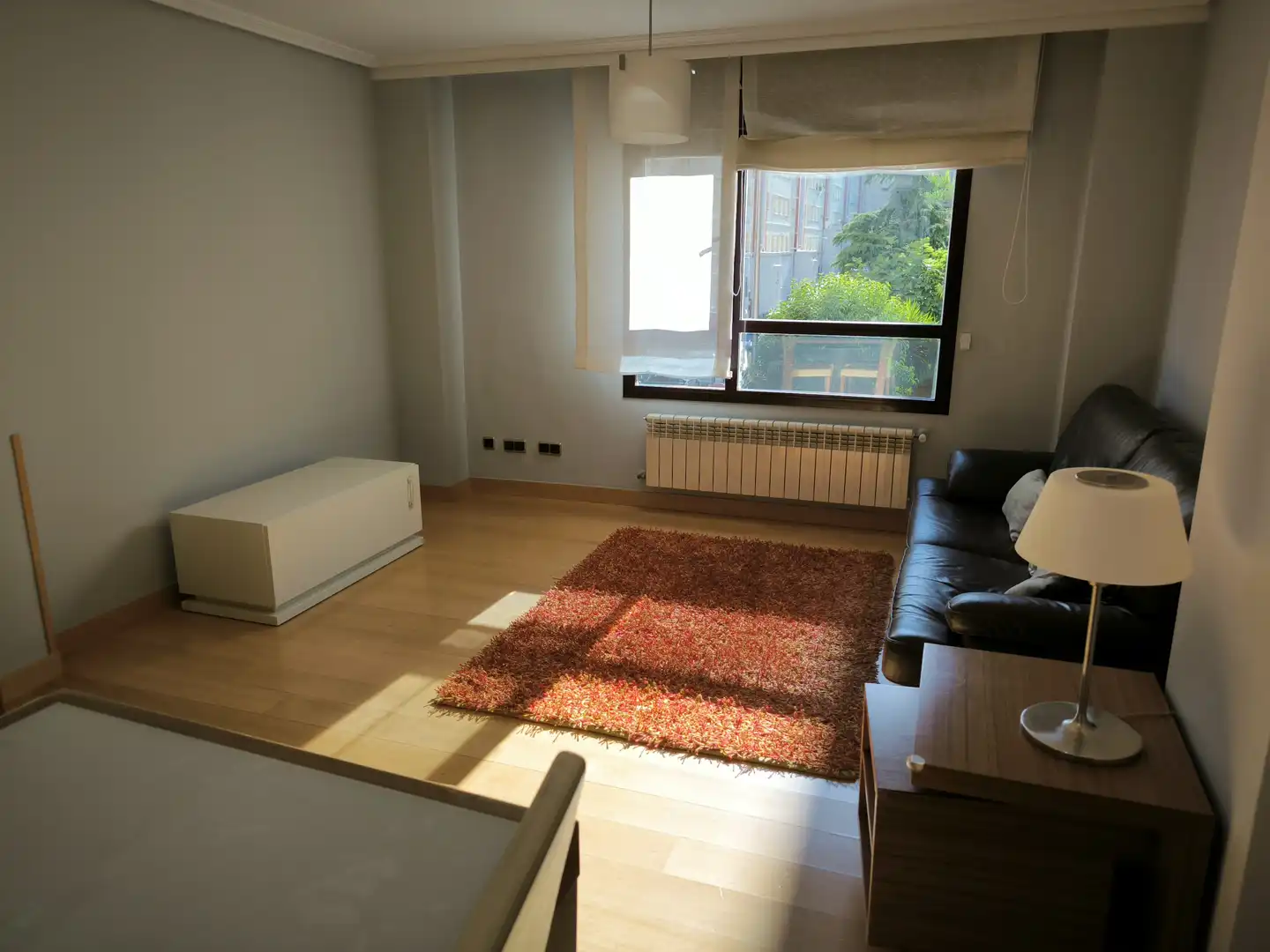 Living room of Flat for rent in Madrid  with Air Conditioner, Heating and Private garden