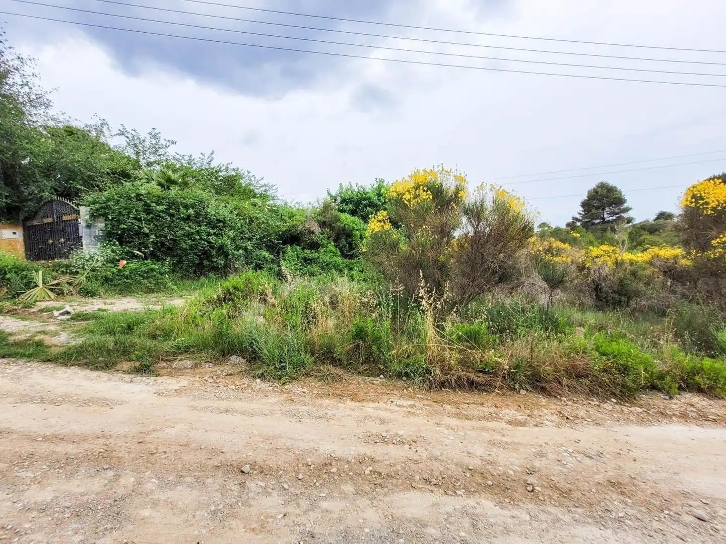 Terreno rústico en venta en Castellbisbal, imagen 14