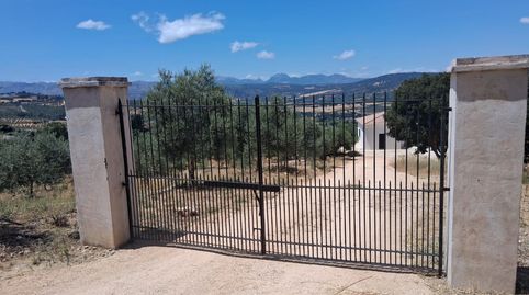 Foto 3 de Terreny industrial en venda a Carril del Noque, 25, Partidas Norte, Ronda