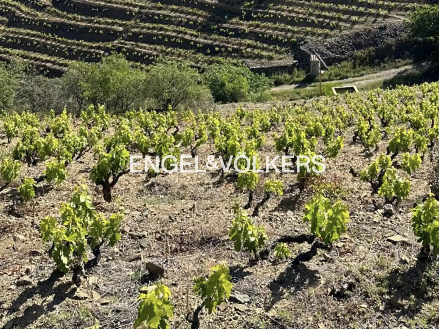 Residential land for sale in La Pobla de Claramunt, imagen 19