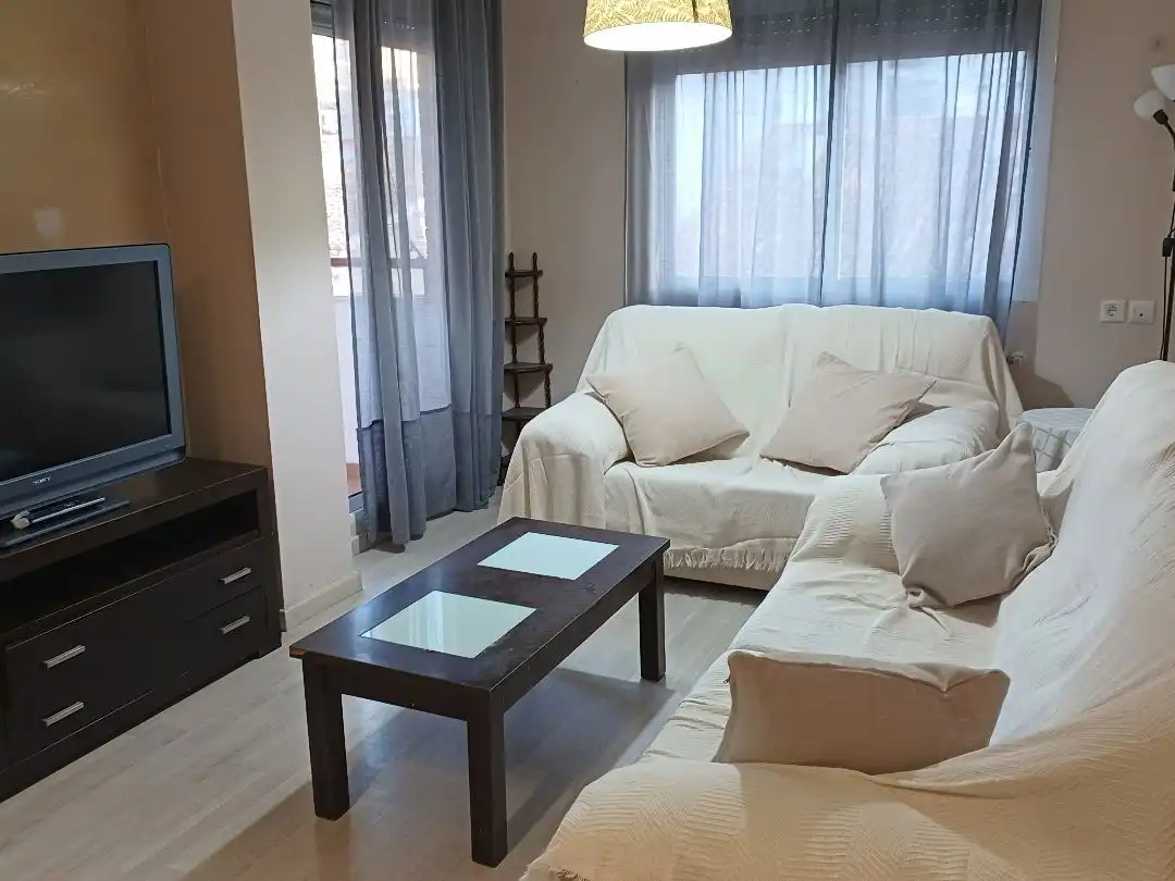 Sala d'estar de Pis de lloguer en Centre - Zona Alta  