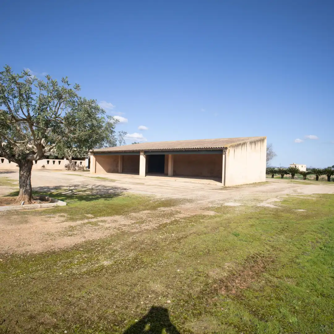 Maison avec jardin à vendre à Inca - Carrer del Rei, imagen 26