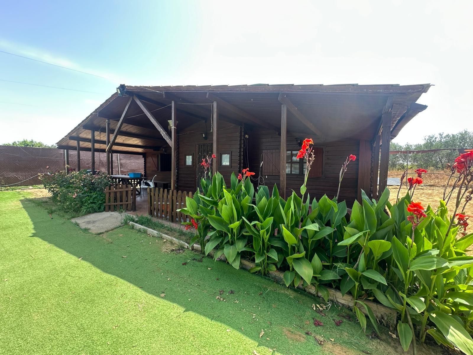 Exterior view of House or chalet for sale in Utrera