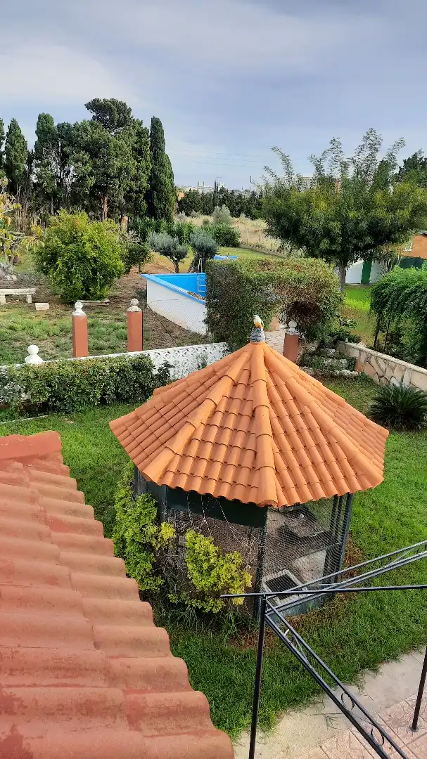 Jardí de Casa o xalet en venda en Vinaròs amb Calefacció, Jardí privat i Terrassa