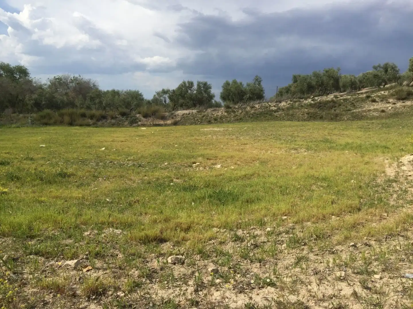 Terrenos y solares en venta en Úbeda