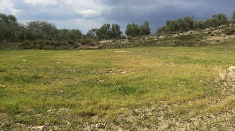 Estupenda parcela en santa eulalia.
