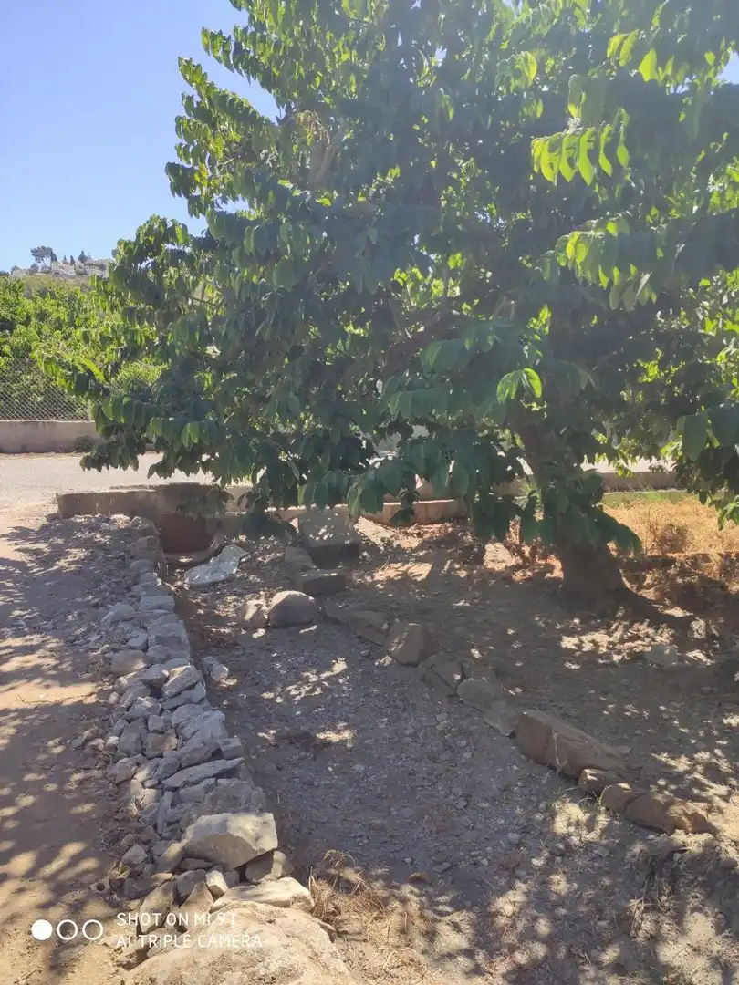 Finca rústica en venda en Almuñécar amb Jardí privat