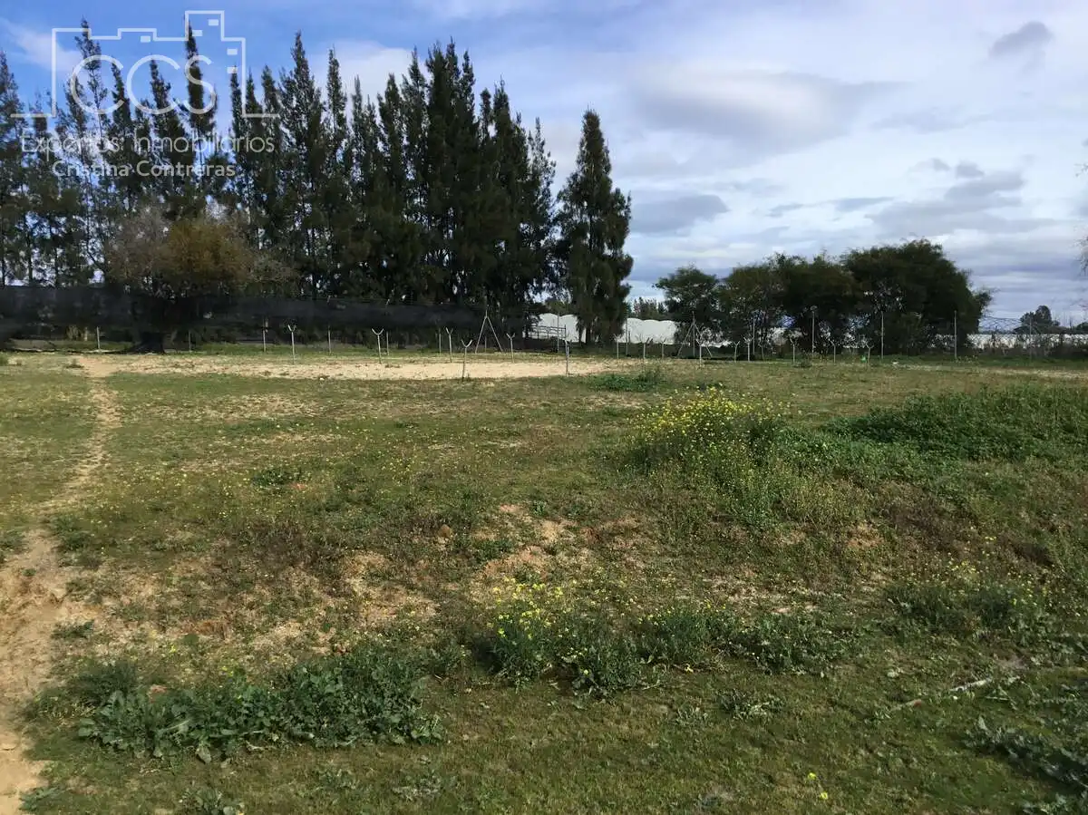 Casa rústica amb piscina en venda a Almonte ciudad, imagen 2