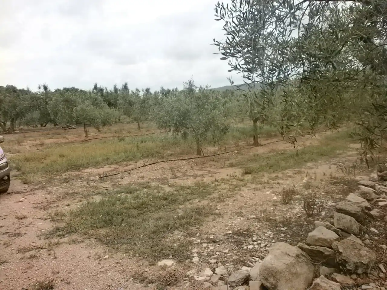 Terreny rústic en venda a Avinguda de Reus, imagen 5