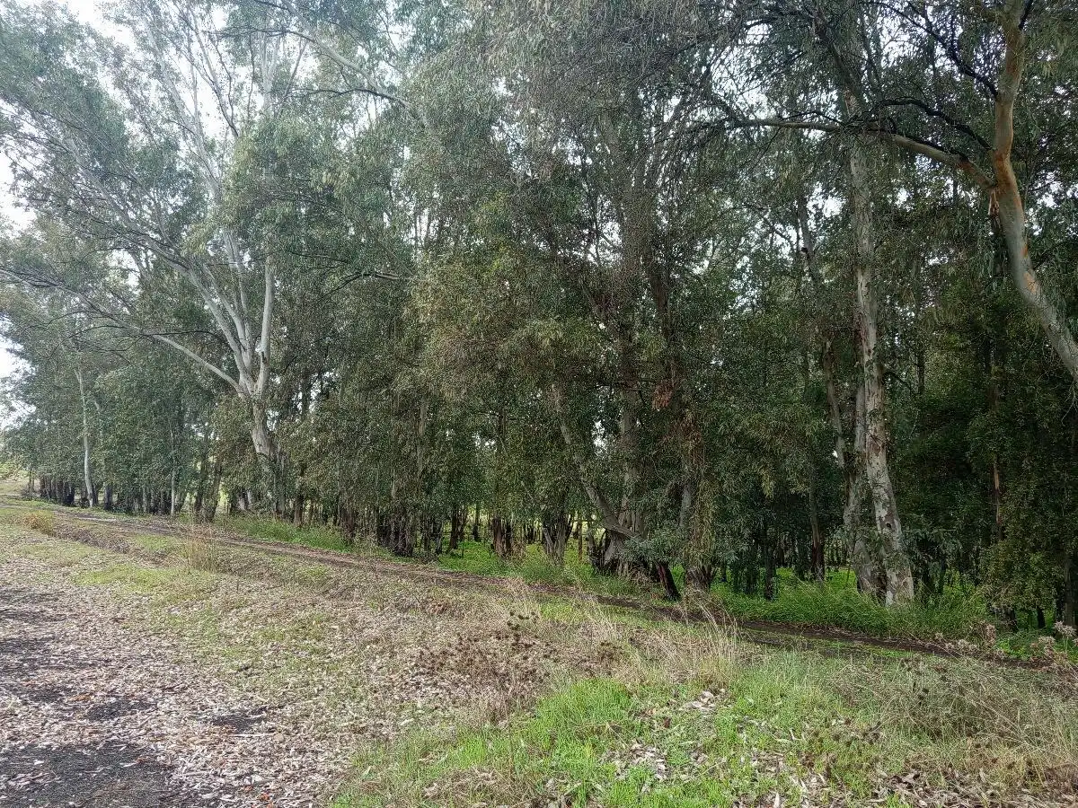 Finca rústica en venda a Oeste
