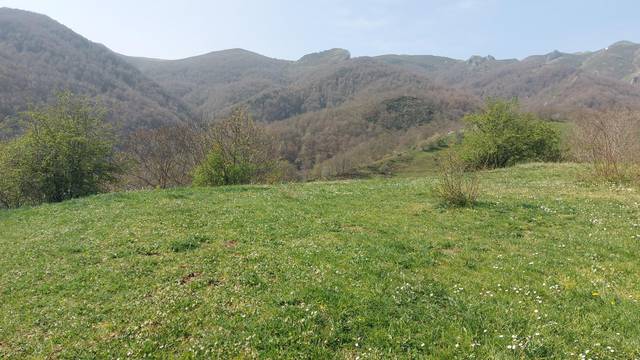 Terreno en Venta en Pesaguero