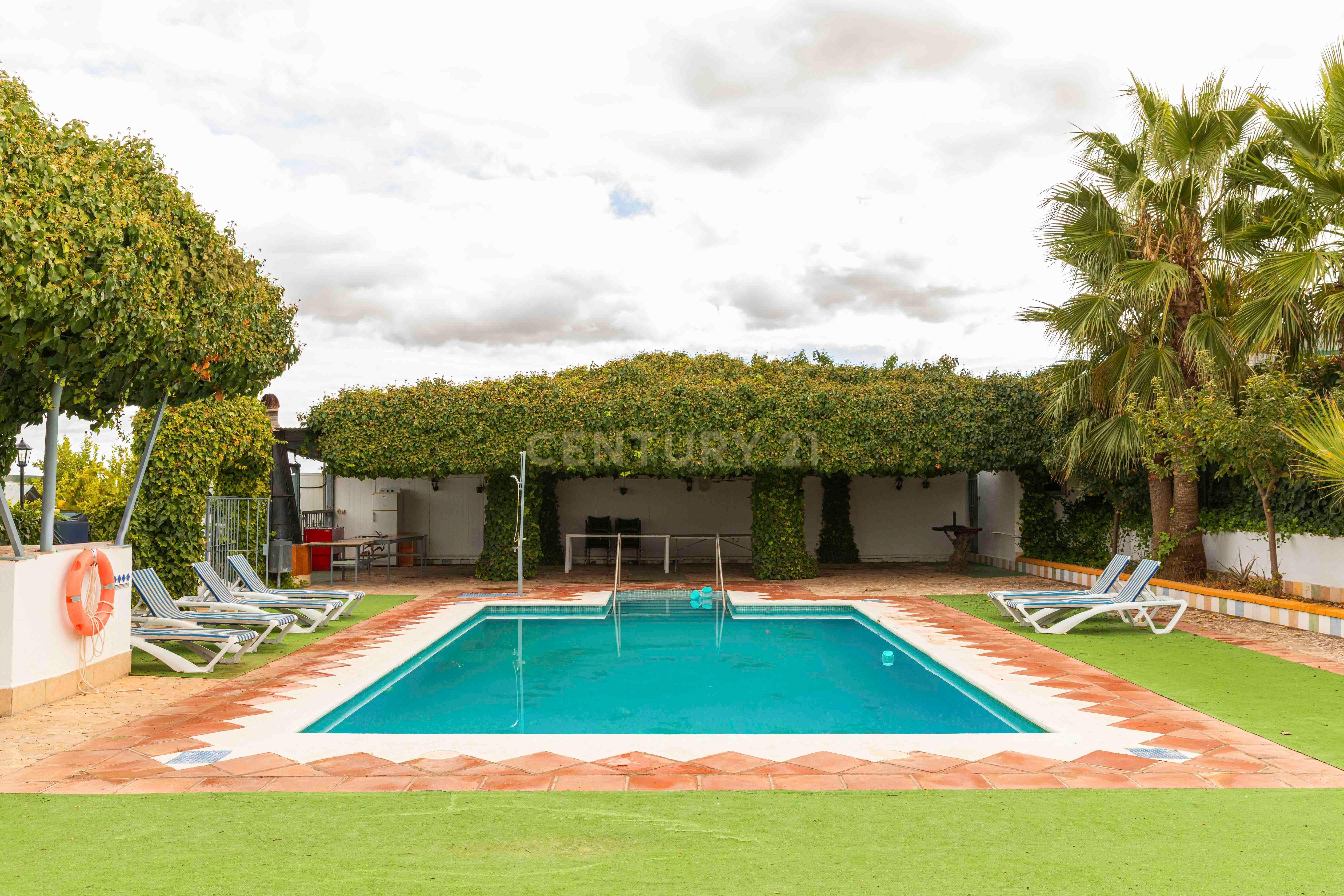 Swimming pool of Land for sale in Campillos