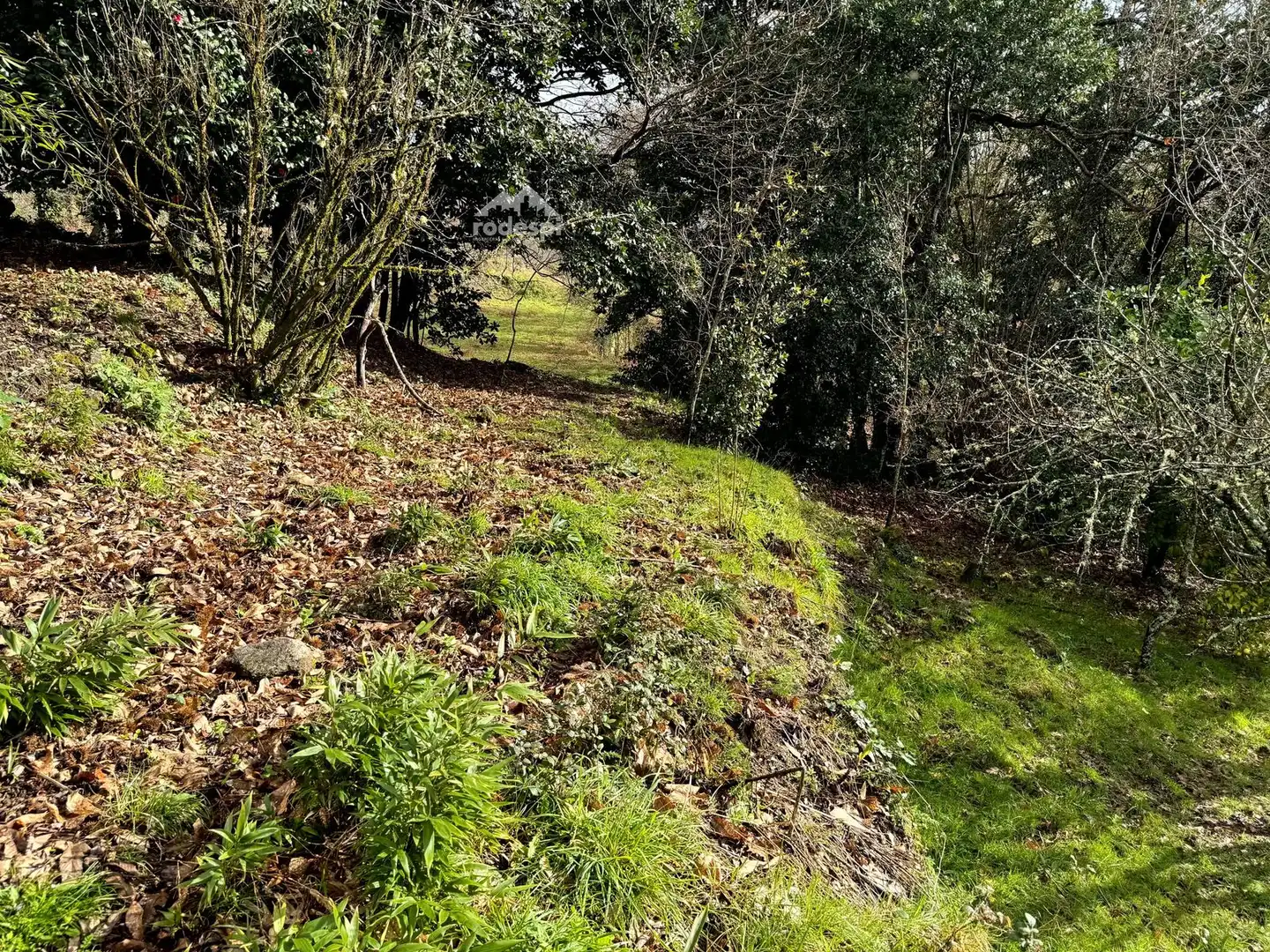 Maison à vendre à A Cañiza, imagen 12