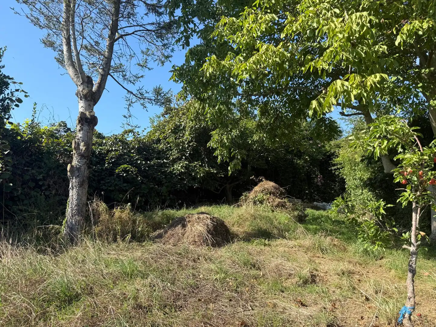 Adossat amb jardí en venda a A Gándara, imagen 6
