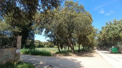 TERRENO URBANO, imatge 5