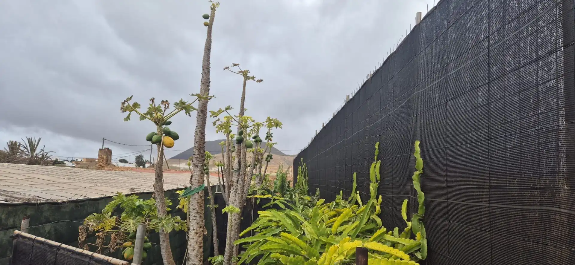 Jardín de Terreno en venta en Antigua