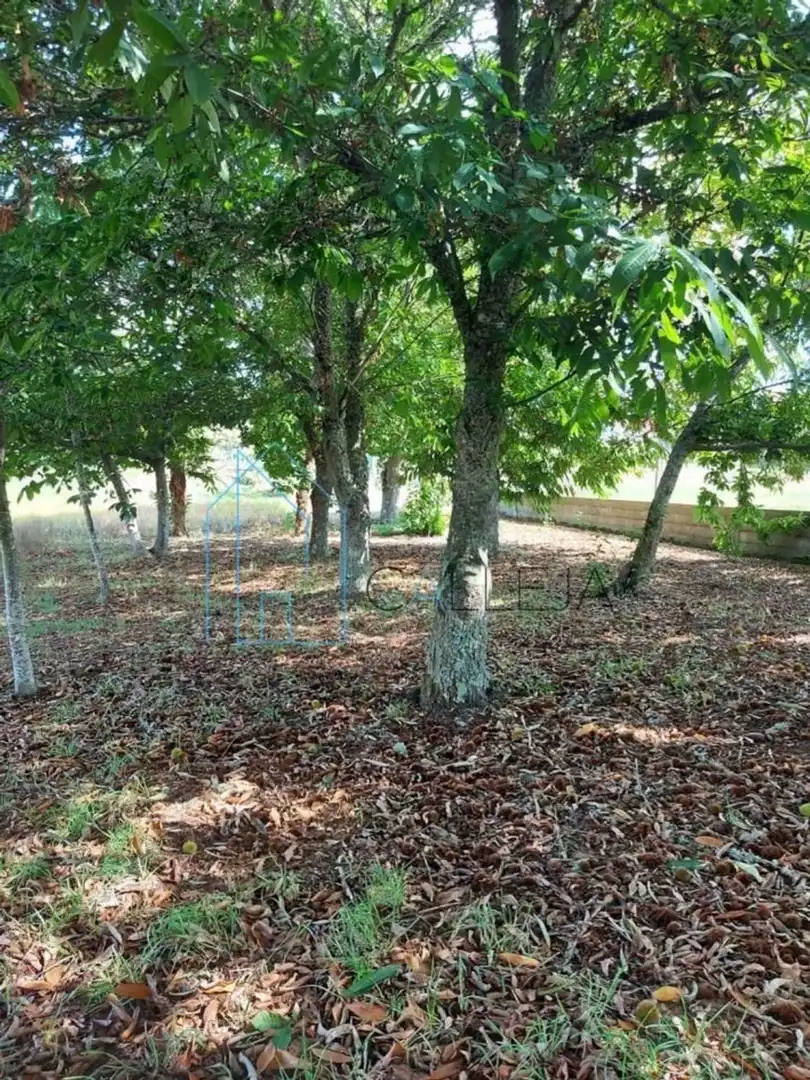 Villa à vendre à Lugar Loureiro 77, imagen 38